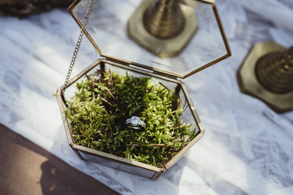 A glass ring box with moss and engagement ring during a photographer workshop in the woods. 